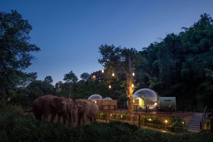 anantara golden triangle Jungle Bubbles