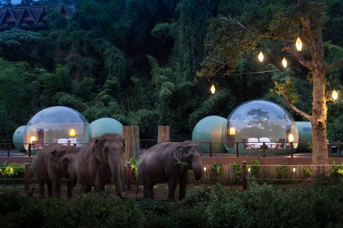 anantara golden triangle Jungle Bubbles