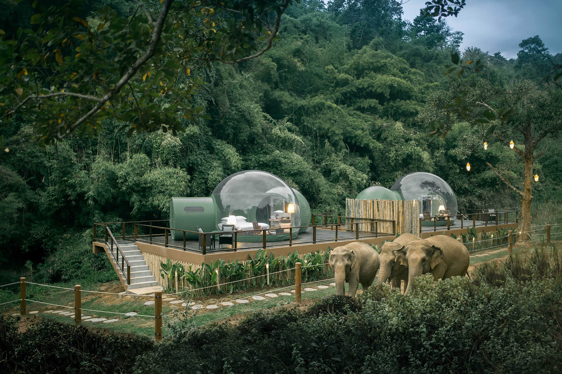 anantara golden triangle Jungle Bubbles