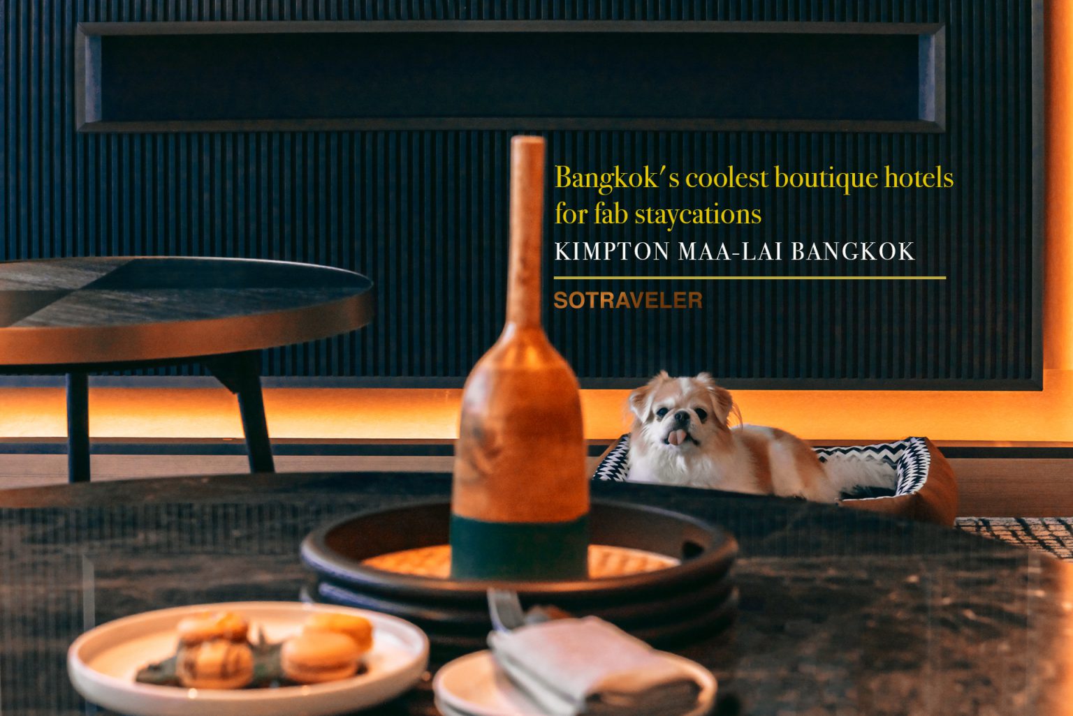 Kimpton Maa Lai Bangkok Hotel Review Pet Friendly Hotel