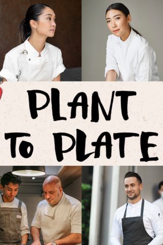 Plant to Plate A Platform for our plants from leaf to root