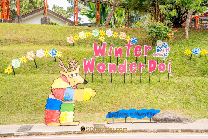 "เทศกาลสีสันแห่งดอยตุง ครั้งที่ 11" ภายใต้คอนเซ็ปต์ Winter Wonder Doi x Newyear